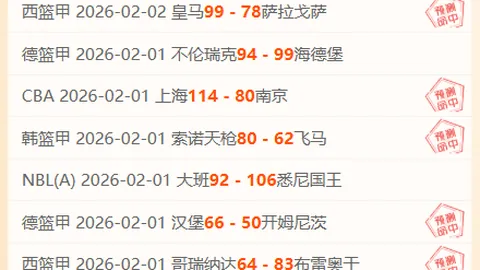 德甲霸主风向标：霍芬海姆8战6胜，夺冠悬念一触即发？