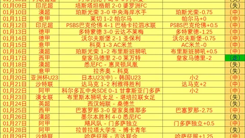 主场观感引发热议：蓝军球迷盼球员多跑动，希望提升观赛氛围